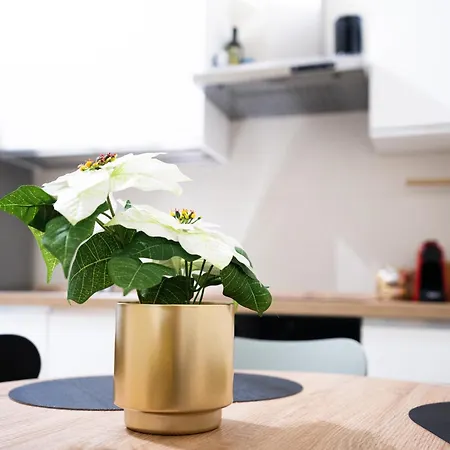 Escape - 2 Bedrooms Apartment
